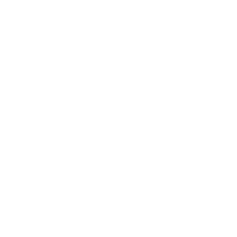 Busch logo